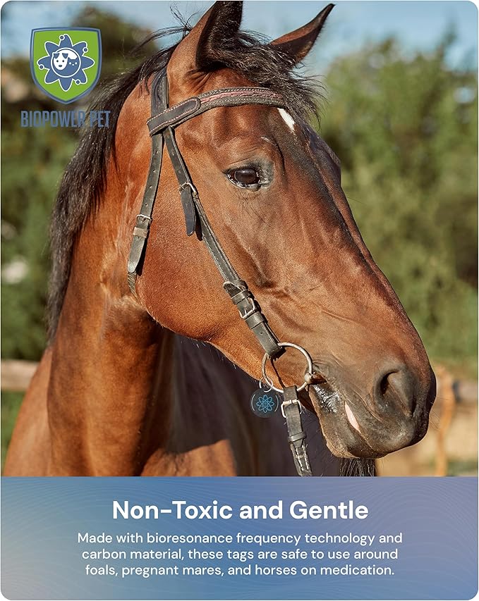 BioPower Natural Fly & Tick Repellent for Horses - Horse Shield and Stall Tags with 1-Year Bioresonance Protection – Chemical-Free, Waterproof Carbon Tag Clips to Halter – Holistic & Safe Pest Defense-PawvioPets