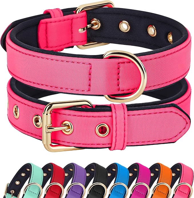 Didog Soft Padded Dog Collars for Small Dogs, Lightweight and Breathable Pink Dog Collar with Metal Buckle, Pink, M-PawvioPets