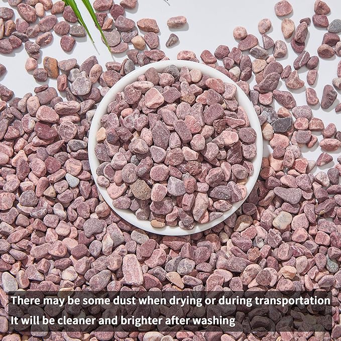 2lb Succulent and Cactus Gravel Pebbles 1/5-3/8 Inch Natural Decorative Polished Stones River Rocks for Plants, Vases, Aquariums, Terrarium and Outdoor Gardening, Rouge Red Color-PawvioPets