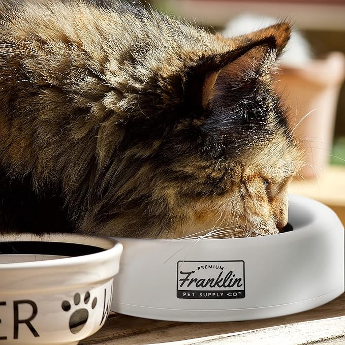 Franklin Pet Supply Co. Co. Spill Proof Pet Bowl - No Splash Travel Water + Food Dish for Dogs + Cats - Portable - 16 oz. - BPA Free-PawvioPets