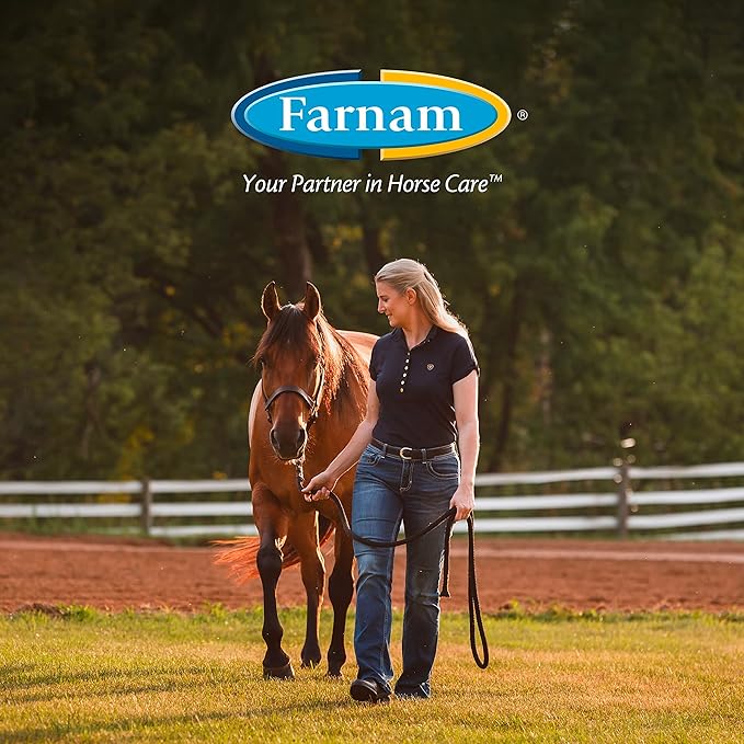 Farnam SuperMask II Fly Mask Without Ears for Foals, Full Face Coverage and Eye Protection from Insect Pests, Structured Classic Styling Mesh with Plush Trim, Foal Size-PawvioPets