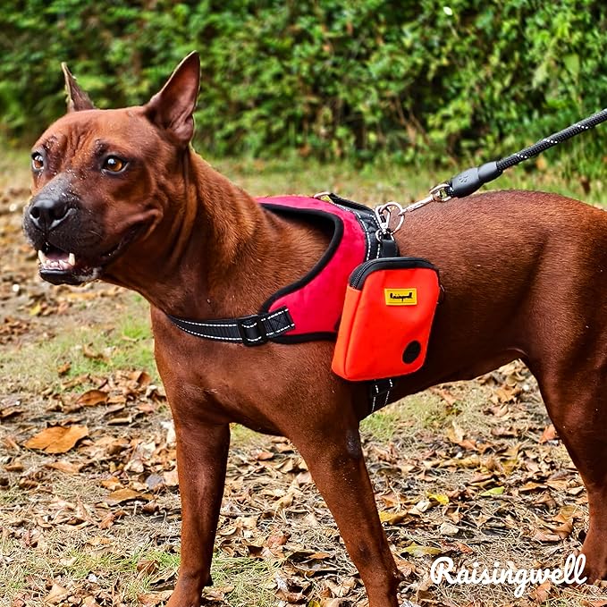 Dog Treat Pouch for Pet Walking and Training with Clicker Poop Bags Small Fanny Zipper Pack Holder for Puppy Snack Dispenser Kit for Leash and Outdoor Use (Orange)-PawvioPets