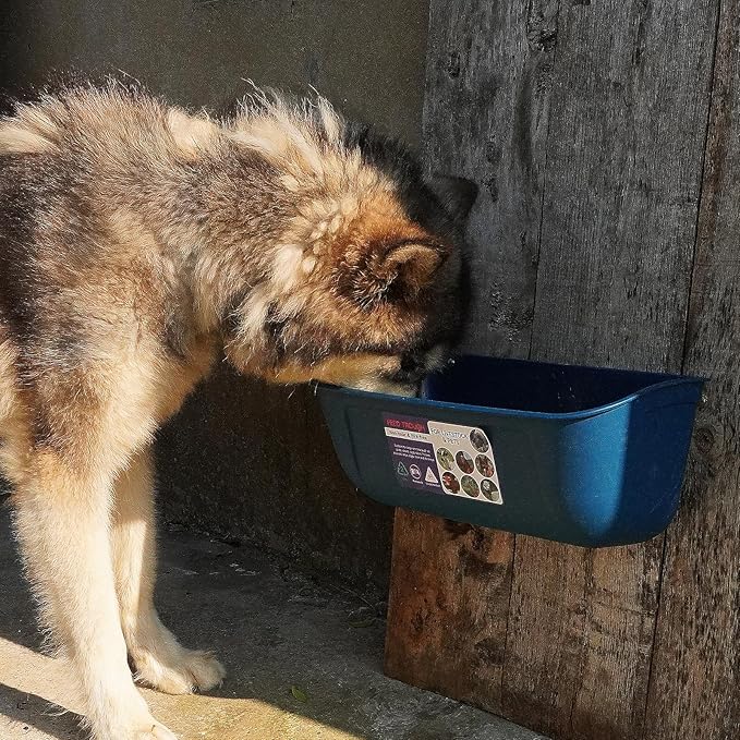 Goovilla Large Feed Trough, Hanging or Screw-in Fence Feeder with Clips, 2 Pack 9 Quart Goat Feeder Supplies, Dog Horse Hog Pig Livestock Poultry Plastic Feeder Trough Bucket for Large Animal, Blue-PawvioPets