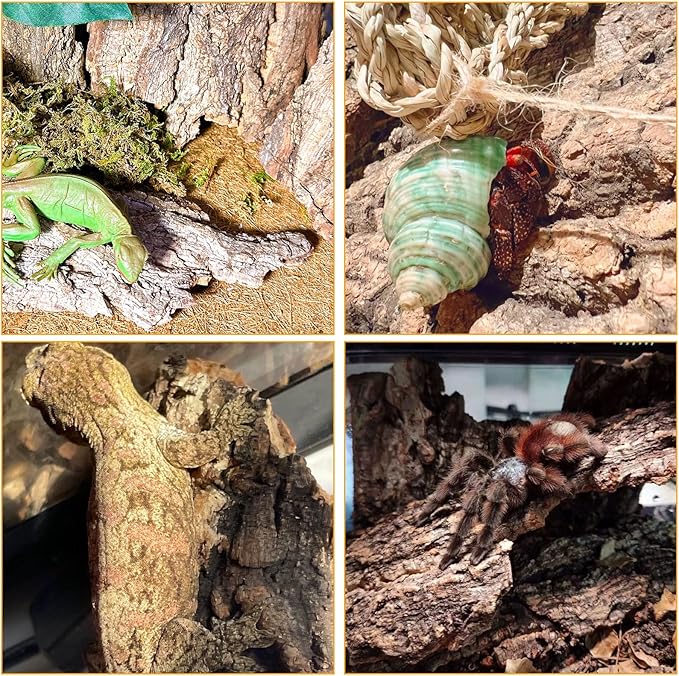 BNOSDM Reptile Terrarium Bark Substrate Bedding Tortoise Natural Cork Bark Reptile Climbing Mat Habitat Decor for Lizard Snake Spiders Hermit Crabs Tarantula Geckos Bearded Dragons (0.7 LB)-PawvioPets