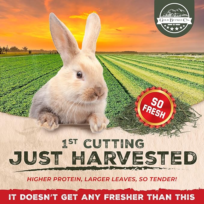 20lb Freshly Dried Organic Alfalfa Hay for Guinea Pigs, Rabbits, Chinchillas, Goats, Hamsters & Ferrets, Small Animal Food Rich in Protein & Fiber, Hand-Selected, Hand sorted, USA Grown-PawvioPets