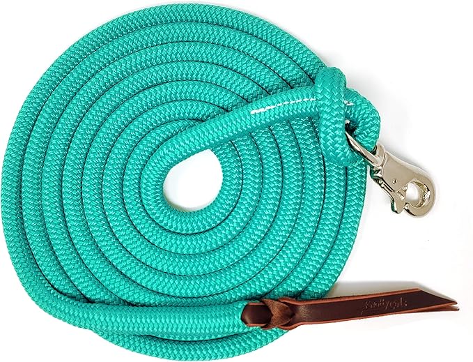 12FT Lead Rope with NP Snap-PawvioPets