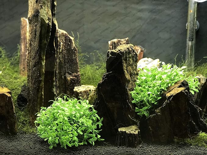 BEGONDIS Aquarium Decorations Fish Tank Artificial Green Water Plants Made of Soft Plastic, Safe for All Fish & Pets (Style-3)-PawvioPets