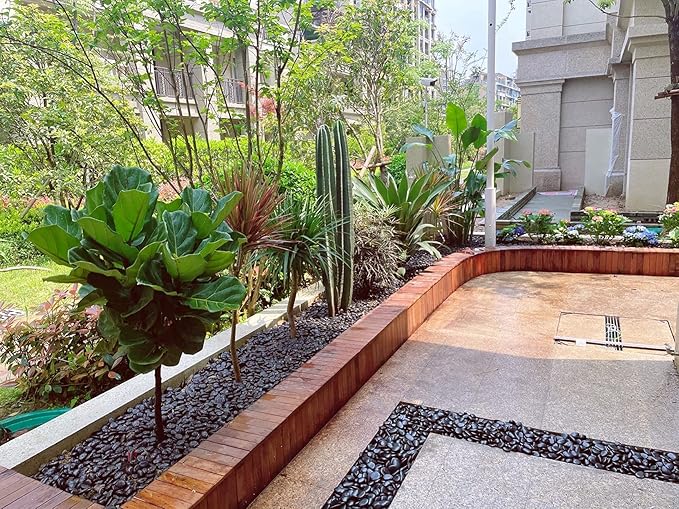 5 lbs Polished Black Pebbles for Indoor Plants, 0.8-1.2 Inch Decorative Black River Rocks for Plants Aquarium Planter Vase Fillers Landscaping and Garden Black Stones-PawvioPets