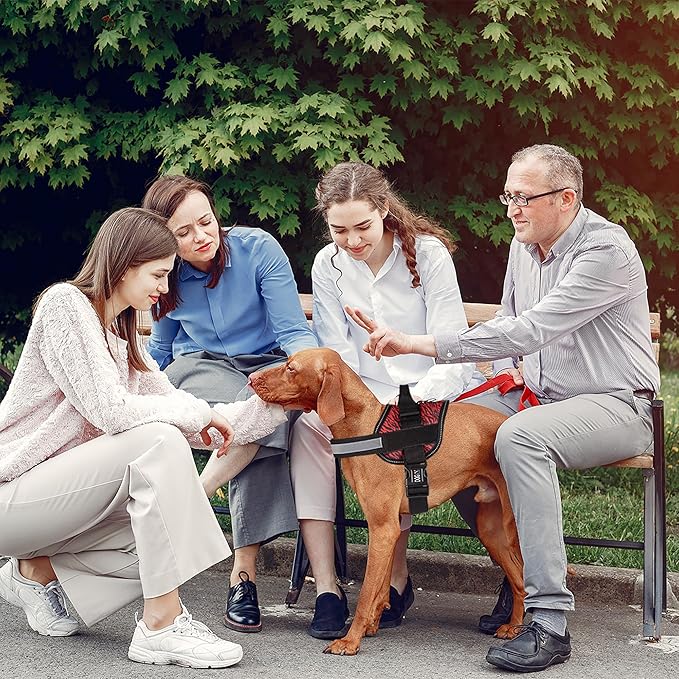 Dogline Dog Harness, Reflective No-Pull Adjustable Vest with Handle for Walking, Training, Breathable, No - Choke Harness for Small, Medium or Large Dogs Room for Patches Zebra Black/Red XL 33"-46"-PawvioPets