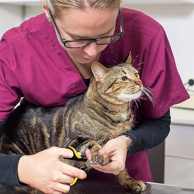 Candure Cat Nail Clipper Stainless Steel Cat Claw Trimmers for Rabbits, Guinea Pigs, Birds, Puppies, Kittens and Small Animals Pet Nail Clipper for Professional and Home Use (Yellow)-PawvioPets