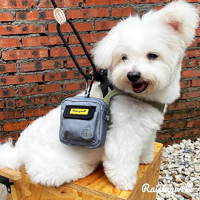 Dog Treat Pouch for Pet Walking and Training with Clicker Poop Bags and Three Bags Design Small Fanny Zipper Pack Holder for Puppy Snack Dispenser Kit for Leash and Outdoor Use (Gray)-PawvioPets