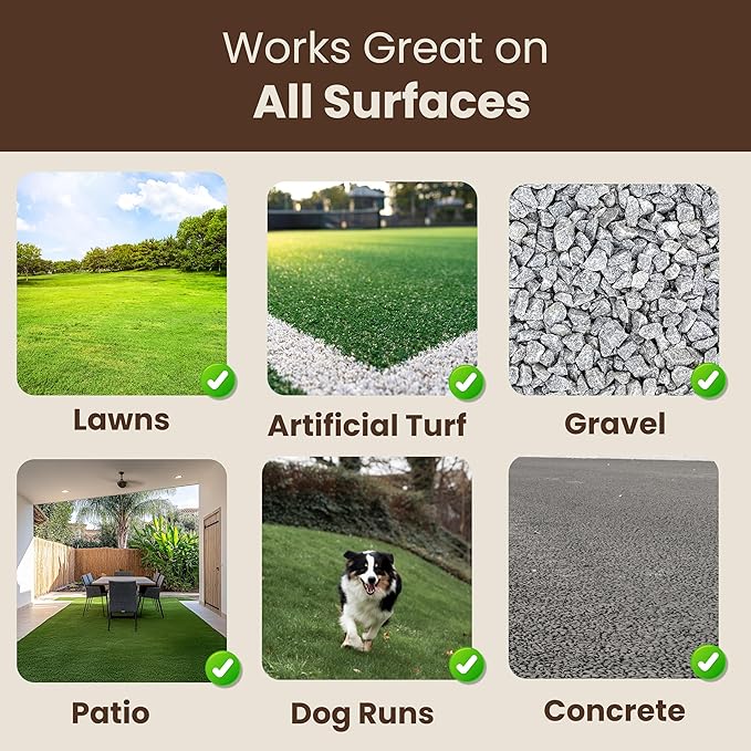 Doodust Dog Poop Clean Up Powder, Poop Hardener & Yard Cleaner, Biodegradable, Pet-Safe, Stops Odor and Makes Pickup Easy-PawvioPets