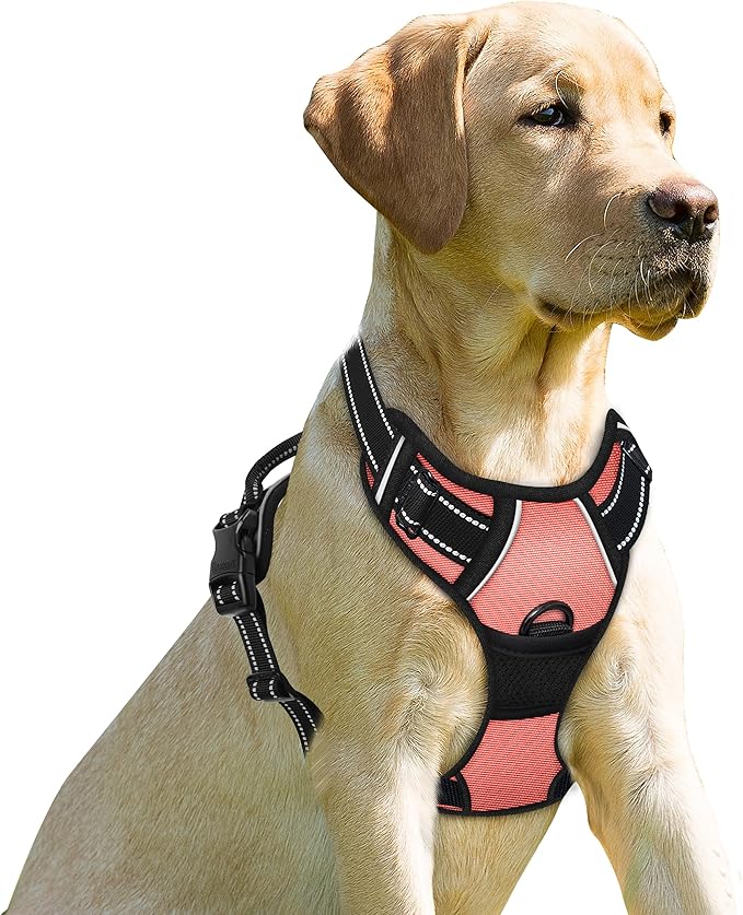BARKBAY No Pull Dog Harness Front Clip Heavy Duty Reflective Easy Control Handle for Large Dog Walking(Light Pink,S)-PawvioPets