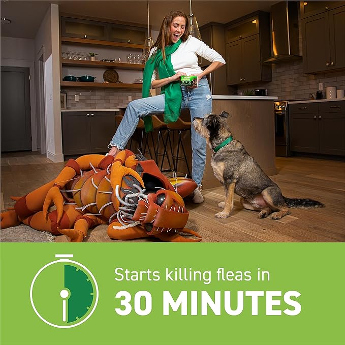 CAPSTAR Oral Flea Treatment for Dogs, Fast Acting Tablets Start Killing Fleas in 30 Minutes, Medium & Large Dogs (Over 25 lbs), 6 Doses-PawvioPets