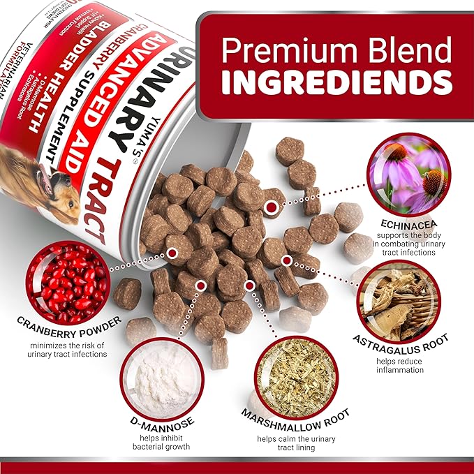 Dog UTI Treatment - 170 Treats - Cranberry Supplement for Dogs - Bladder Control - Urinary Tract Infection Treatment - UTI Medicine Multivitamin - Vitamins and Supplements - Made in USA-PawvioPets