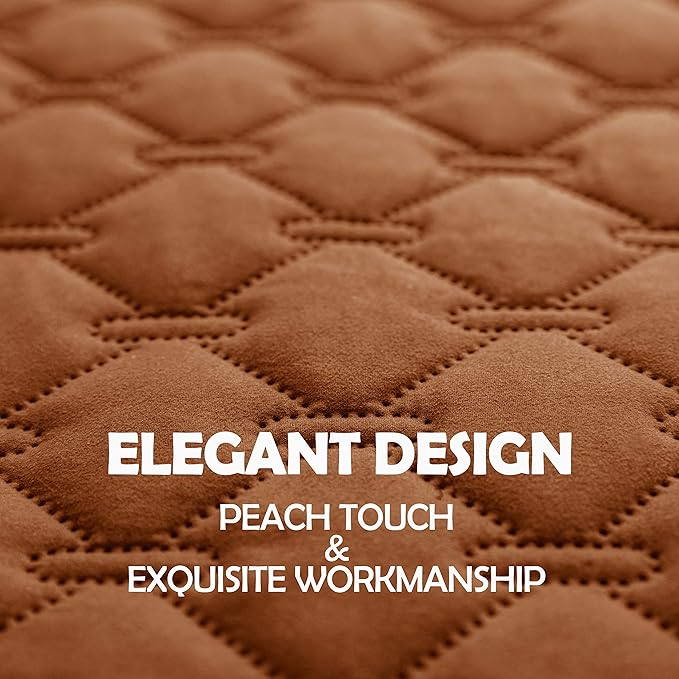 gogobunny 100% Double Sided Waterproof Dog Blanket Soft Pet Bed Cover Reversible Protect Furniture Couch Sofa Car for Puppy Cat Kids (Dark Pumpkin/Light Pumpkin, 30x80 Inch (Pack of 1))-PawvioPets