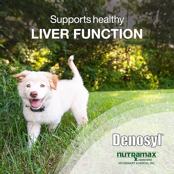 Nutramax Denosyl Liver and Brain Health Supplement for Medium Dogs - With S-Adenosylmethionine (SAMe), 30 Tablets-PawvioPets