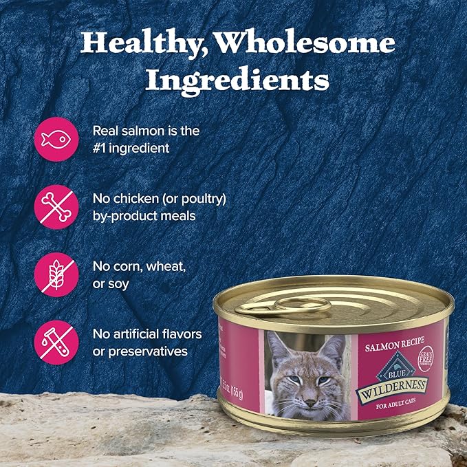 Blue Buffalo Wilderness Natural High-Protein Grain-Free Wet Food for Adult Cats, Salmon Paté, 5.5-oz. Cans, 24 Count-PawvioPets