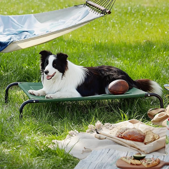 Bedsure Outdoor Elevated Dog Bed Large Sized Dog, Portable Indoor & Outdoor Cooling Raised Cot Pet Hammock Bed with Skid-Resistant Feet, Frame with Breathable Mesh, Green, 49 inches-PawvioPets