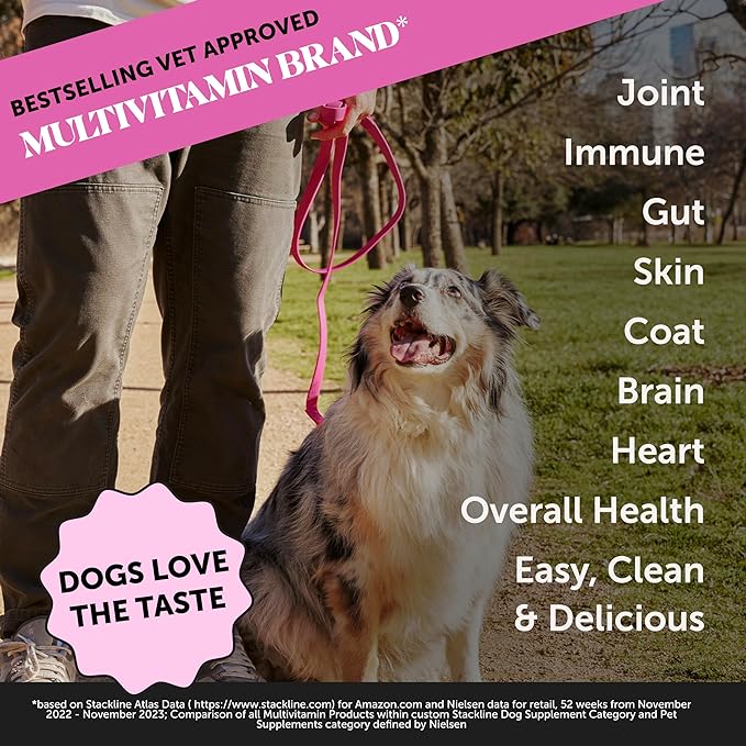 Dog Multivitamin Supplement with Salmon Oil for Dogs - Allergy Itch Relief, Digestion, Skin & Coat Health, Liquid Supplement - Dog Food Topper Bone Broth with Prebiotics (12 oz)-PawvioPets