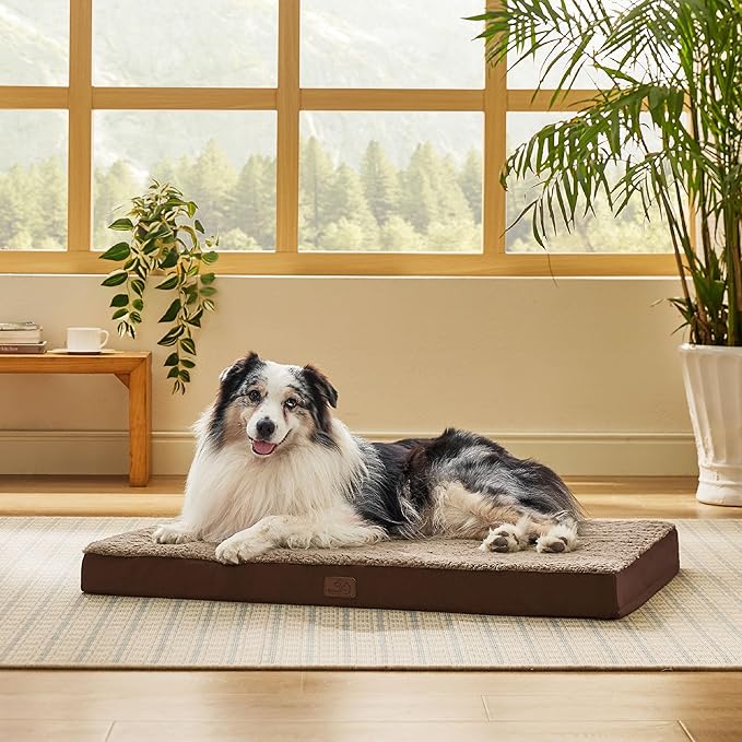Bedsure XL Dog Bed for Crate - Large Orthopedic Flat Pet Beds with Removable Washable Cover, Egg Crate Foam Crate Mat, Suitable for Pet Up to 90 lbs-PawvioPets