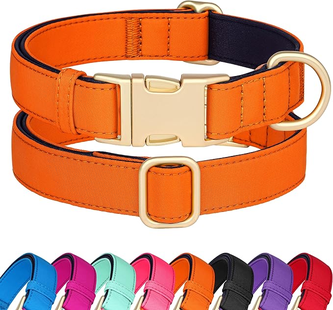 Didog Soft Padded Dog Collars for Medium Dogs, Colorful and Durable Dog Collar with Quick Release Buckle, Light and Breathable for Daily Walking, Orange, M-PawvioPets