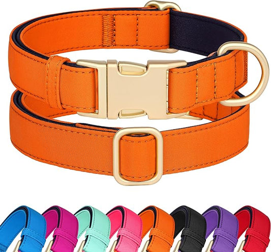 Didog Soft Padded Dog Collars for Small Dogs, Colorful and Durable Dog Collar with Quick Release Buckle, Light and Breathable for Daily Walking, Orange, S-PawvioPets