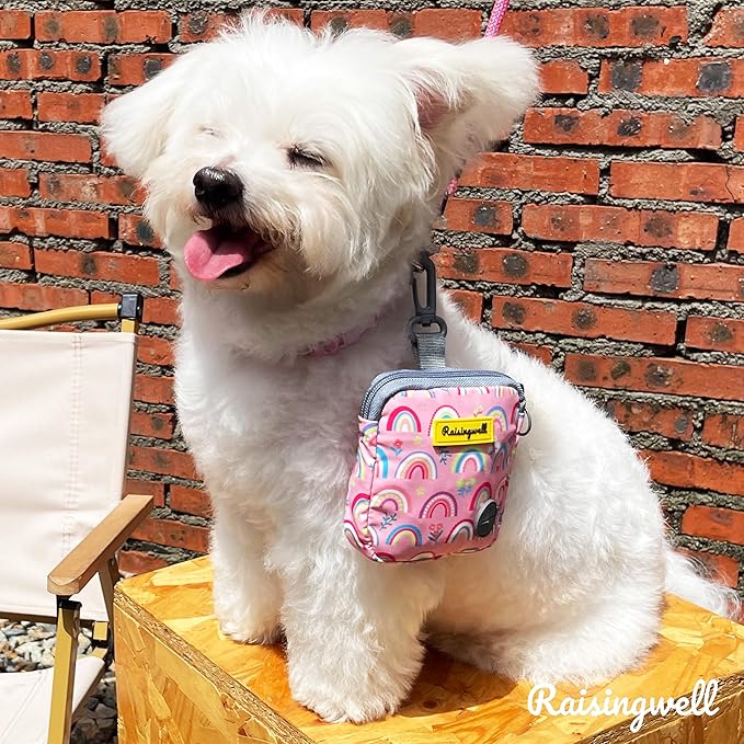 Dog Treat Pouch for Pet Walking and Training with Clicker Poop Bags Small Fanny Zipper Pack Holder for Puppy Snack Dispenser Kit for Leash and Outdoor Use (Rainbow)-PawvioPets