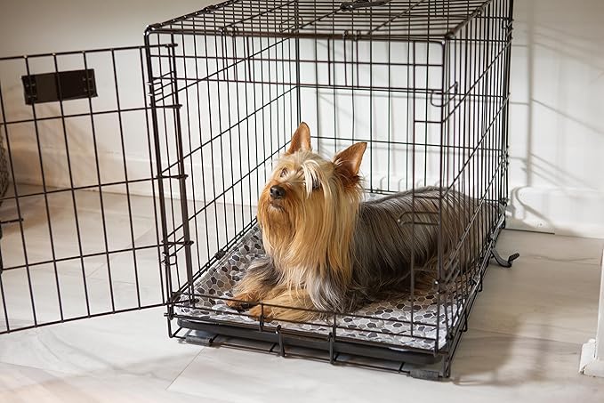 Caldwell's Pet Supply Co. 20x30 Washable Pee Pads for Dogs, Reusable Pee Pad for Dogs, Puppy Potty Mat, Whelping Rug, Reusable Puppy Mat, Waterproof Rug for Dog of All Breeds, Small (Set of 2)-PawvioPets