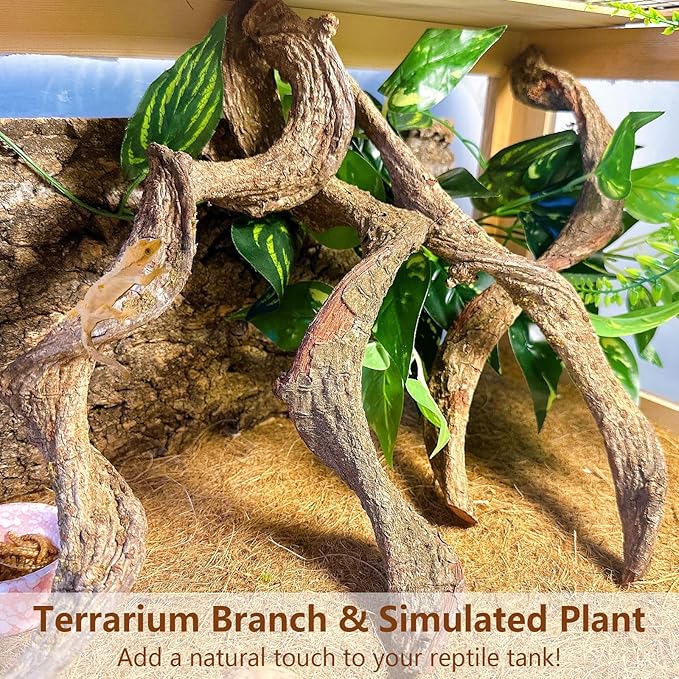 BNOSDM 4Pcs Reptile Climbing Branches Decor,Snake Climbing Branch,Gecko Climb Wood,Lizard Forest Branch,Tank Habitat Tree Trunk Decorations for Bearded Dragons,Chameleons,Spider,Frogs (S)-PawvioPets