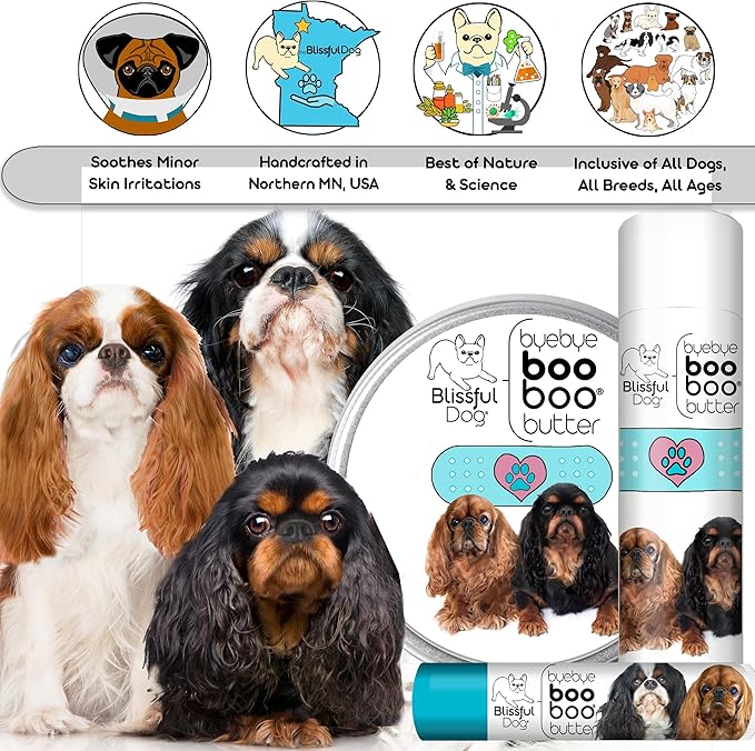 English Toy Spaniel Boo Boo Butter, 1-Ounce-PawvioPets