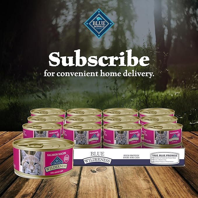 Blue Buffalo Wilderness Natural High-Protein Grain-Free Wet Food for Adult Cats, Salmon Paté, 5.5-oz. Cans, 24 Count-PawvioPets