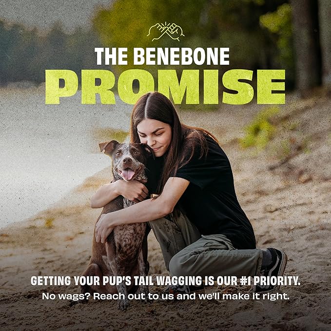 Benebone 4-Pack Rubber Ball-PawvioPets