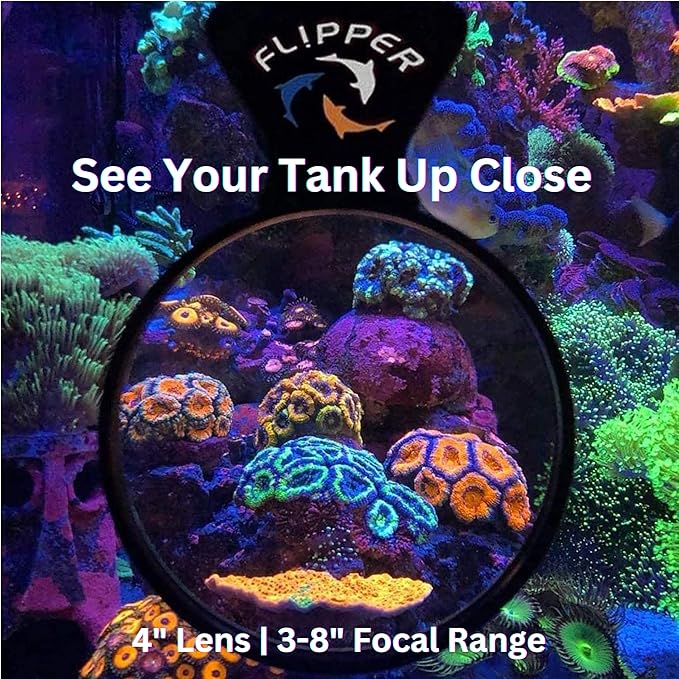 Flipper DeepSee 4" Viewer - Filter Clear Lens and Aquarium Magnetic Magnifier - Fish Tank Magnifying Glass for Coral Reef Aquarium - Magnetic Magnifying Glass Ideal for Photography - Black-PawvioPets