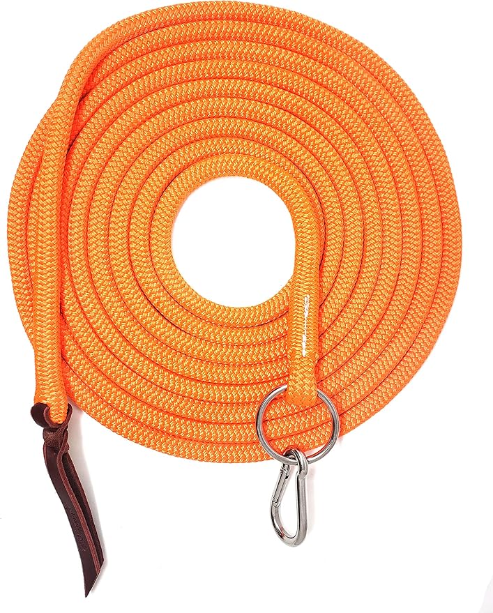 22' Long Line with SS O Ring and Carabiner (Neon Orange)-PawvioPets