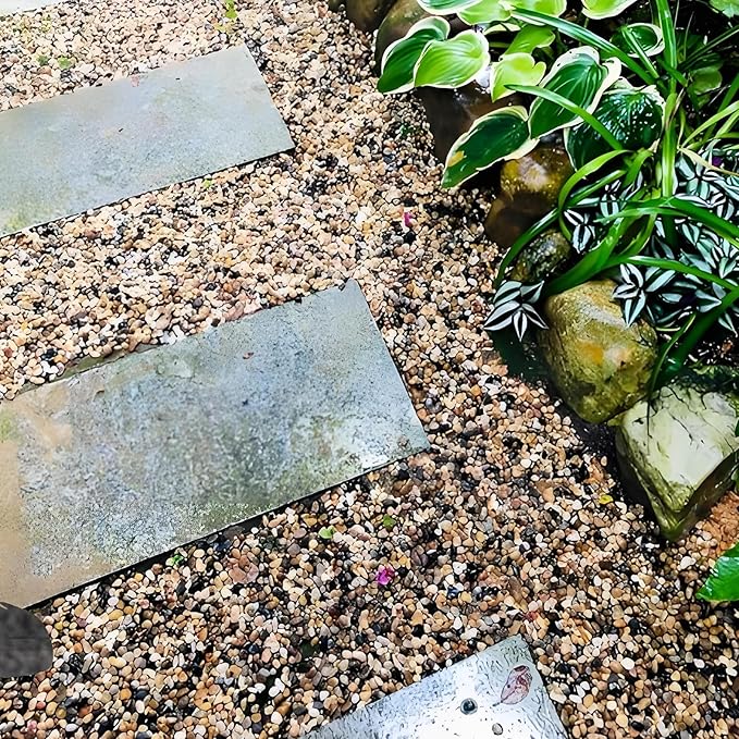 2 Pounds Pebbles for Plants, 3/8 Inch Polished Pea Gravel. Decorative Stones River Rocks for Succulent Soil Cover, Cactus, Aquarium, Vase and Outdoor Garden Landscaping-PawvioPets