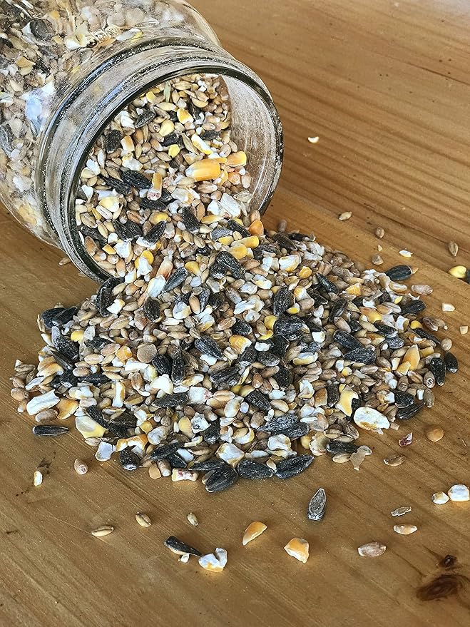 Ernst Grain & Livestock Bird and Wildlife Feed – Perfect for Birds, Ducks, Squirrels, Turkeys, Rabbits, Geese, and Deer – Non-GMO Wild Animal & Bird Feed for Outside Feeders - 10lbs-PawvioPets