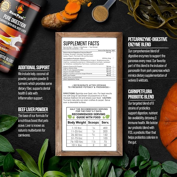 Dog & Cat Premium Probiotic Prebiotic & Digestive Enzymes 5 Billion CFU Organic Turmeric Coconut Oil Pure Pumpkin & Kelp for Healthy Bowels Gut & UTIs Beef Liver Flavor-PawvioPets