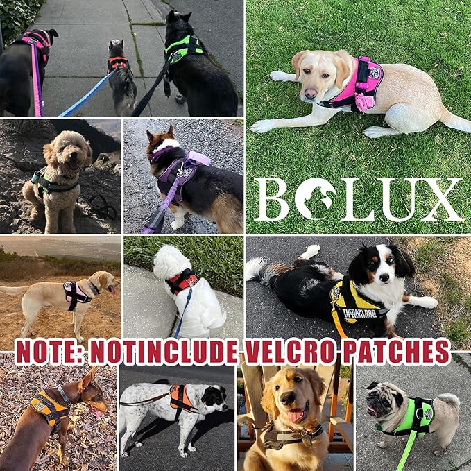 Bolux Dog Harness, No-Pull Reflective Dog Vest, Breathable Adjustable Pet Harness with Handle for Outdoor Walking - No More Pulling, Tugging or Choking (Flag, Medium)-PawvioPets