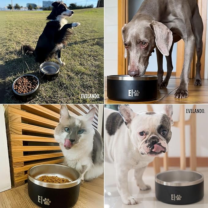 EVELANDO® Premium Dog Food Bowl 32 oz Stainless Steel 4 Cups Small Medium Dog Bowls Non Slip & BPA-Free S M L Pet Water Bowl Platos para Perros Indoor Outdoor Pet Dish Feeder Water and Food Dish-PawvioPets