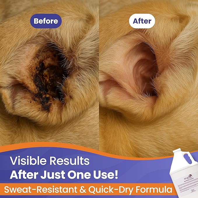Dog & Cat Ear Cleaner Solution with Aloe Vera & Tea Tree Oil – Removes Itchy Ear Wax, Debris, Odor – Ears Wash, Drops & Flush for Pets, Dog Ears Cleaning, Cat Cleaner, 16 oz- 4 Gallons-PawvioPets