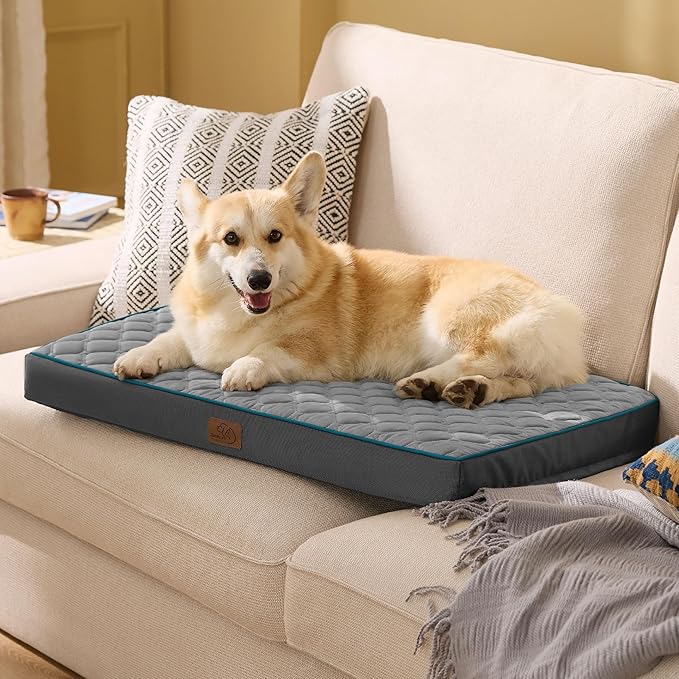 Bedsure Orthopedic Dog Bed for Medium Dogs - Flat Memory Foam Pet Mattress with Removable Washable Cover and Egg Crate Foam, Suitable for Pet Up to 35 lbs, 30x20x3 Inches, Grey-PawvioPets