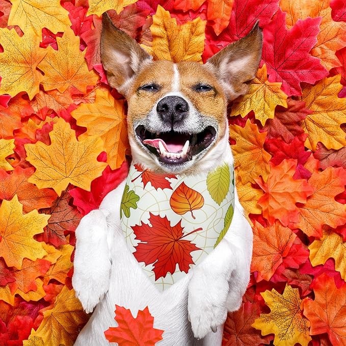 Abbylike 50 Pcs Fall Dog Bandana Bulk Maple Leaves Bandana for Dogs Triangle Kerchief Bibs Scarf for Small Medium Large Pet Autumn Thanksgiving Costume Accessories, 25 Styles (25.6 x 17.7 x 17.7 Inch)-PawvioPets