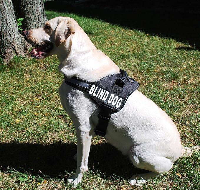 Doggie Stylz Blind Dog Vest Harness with Removable Patches and Reflective Trim. Comes with 2 Blind Dog Reflective Hook and Loop Patches. Measure Dogs Girth Before Purchase (Girth 30”- 42" Black)-PawvioPets
