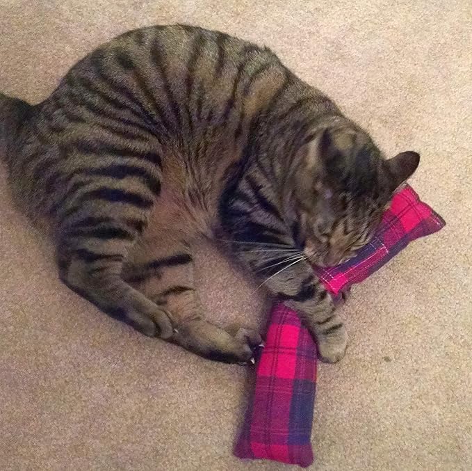 15" Cat Kicker Toy with Refillable Catnip Pocket (Red Flannel) - Filled with 1 oz Premium Canadian Catnip-PawvioPets