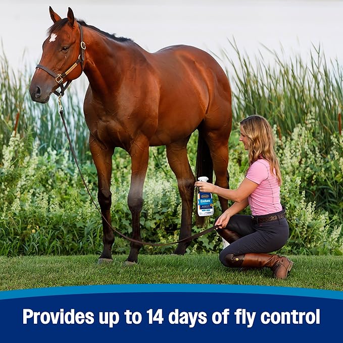 Farnam Endure Sweat-Resistant Fly Spray for Horses, Lasts Up to 14 Days, Protects Against Flies, Gnats, Mosquitoes, Ticks & Lice, 128 oz.-PawvioPets