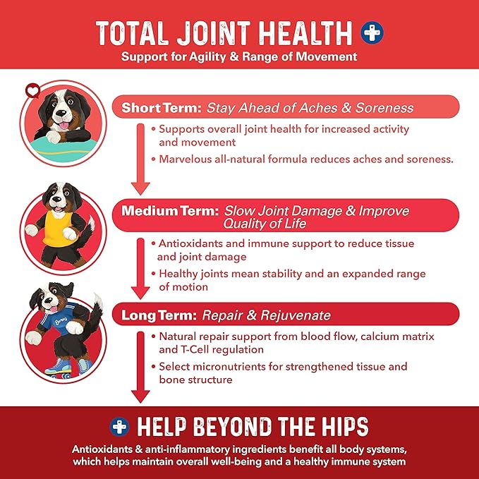 Bernie's Marvelous Mobility - Daily Total Joint Support for Dogs - 90 Soft Chews - Maintain & Rebuild Mobility, Supports Joint Tissue Health-PawvioPets