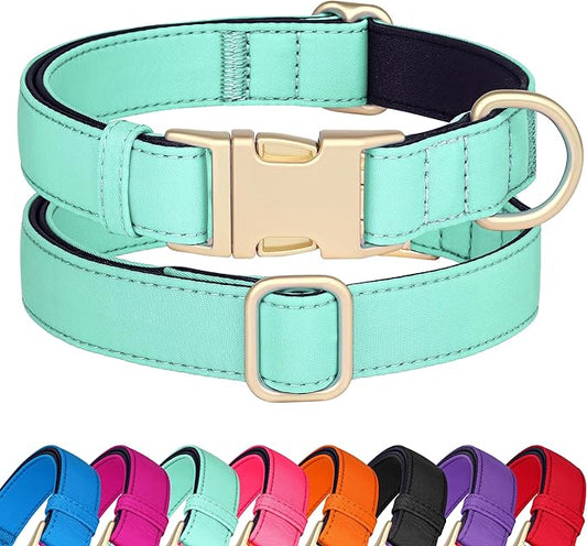 Didog Soft Padded Dog Collars for Medium Dogs, Colorful and Durable Dog Collar with Quick Release Buckle, Light and Breathable for Daily Walking, Green, M-PawvioPets