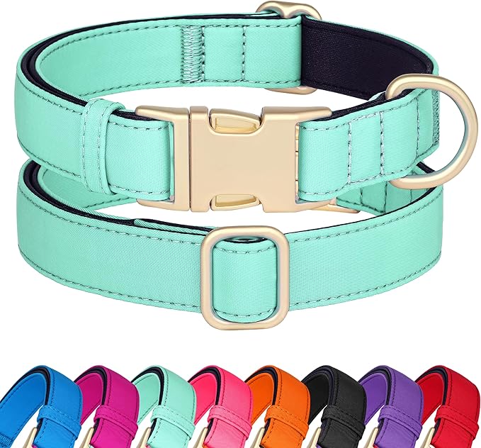 Didog Soft Padded Dog Collar for Large Dogs, Colorful and Durable Pet Collar with Quick Release Buckle, Light and Breathable for Daily Walking, Green, L-PawvioPets
