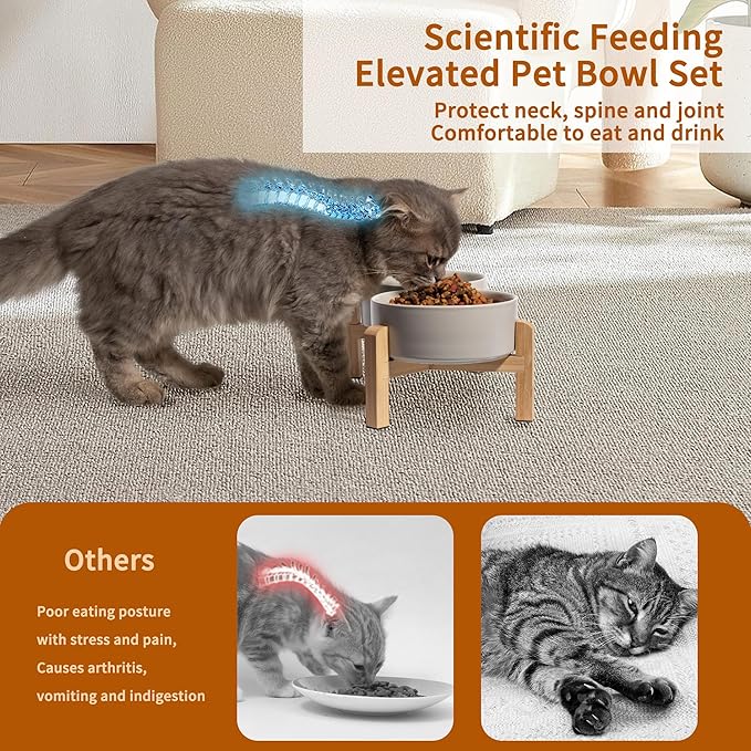 Elevated Ceramic Dog Bowl Set - Raised Feeding Bowls with Non-Slip Bamboo Stand - Small Pet Dishes for Food and Water - Ideal for Cats and Puppies - 16.23 OZ - 2 Cups - 480 ML-PawvioPets